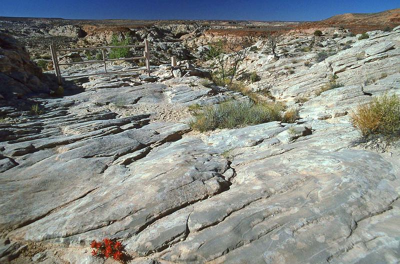 1996-04 Utah Trip 213 by Butler Wash.jpg